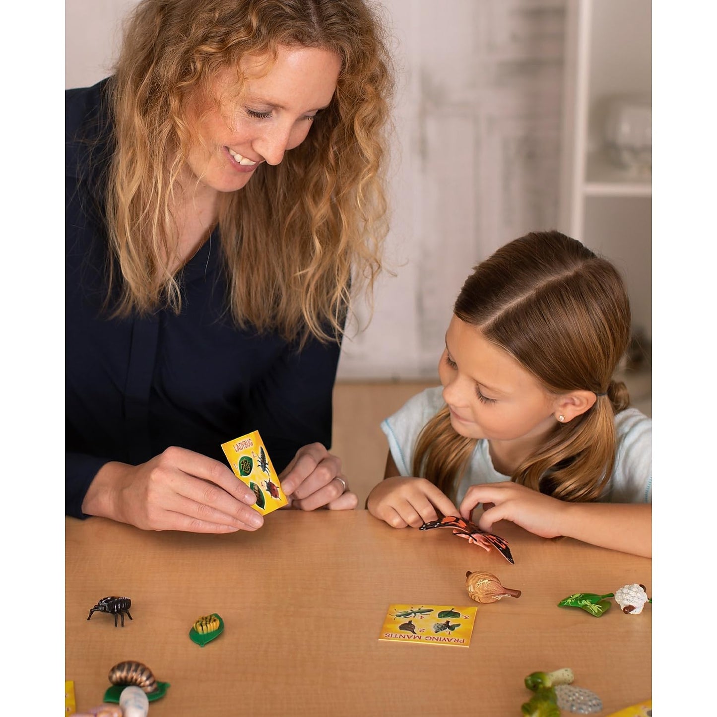 Insect Lore's Life Cycle Figurines 24 Pc Set | Butterfly, Ladybug, Frog, Honey Bee, Ant and Praying Mantis | 4 Stages Per Insect, 24 Figurines Total