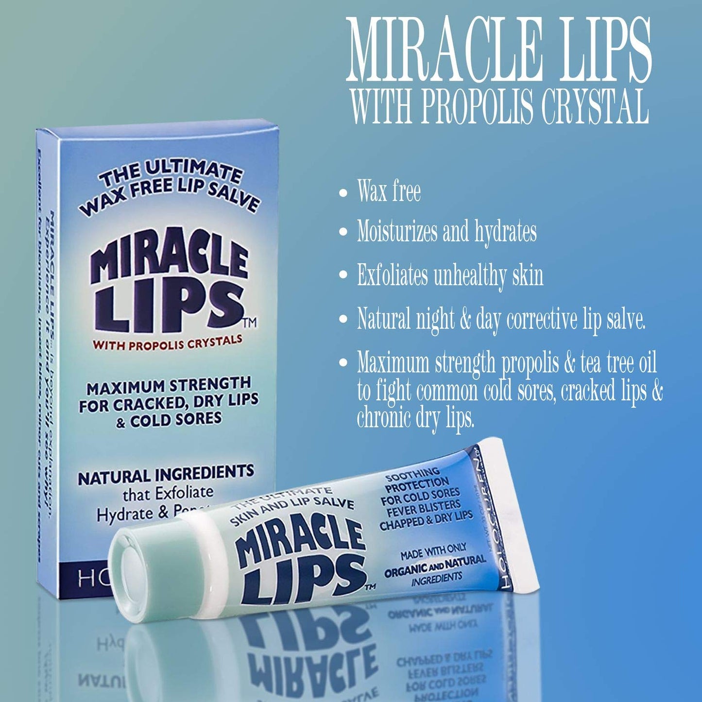 Holocuren Miracle Lips Salve, 0.33 Ounce