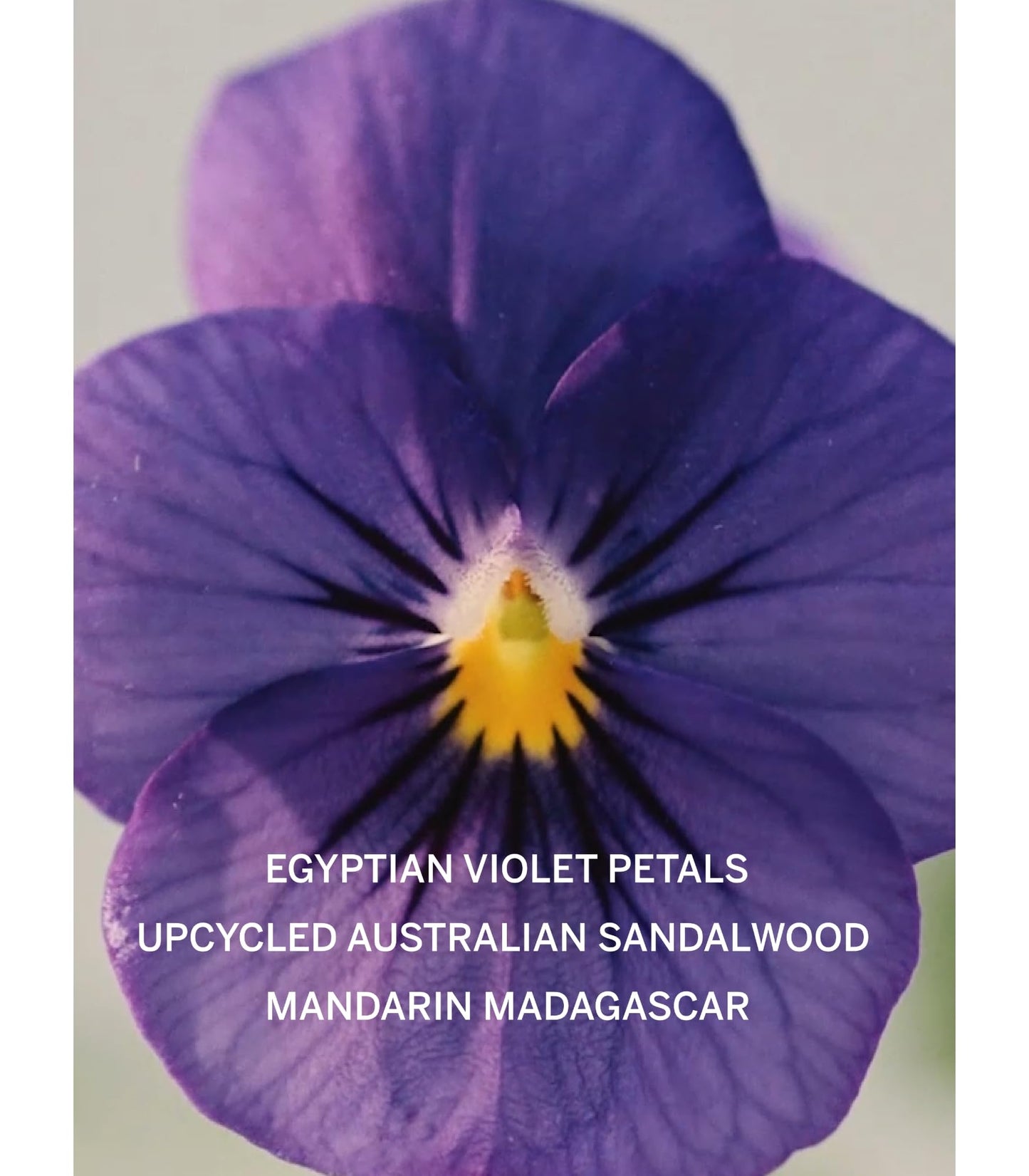 Victoria's Secret Bare Eau de Parfum – Women’s Perfume with Notes of Australian Sandalwood, Mandarin Madagascar & Egyptian Violet, 3.4 oz