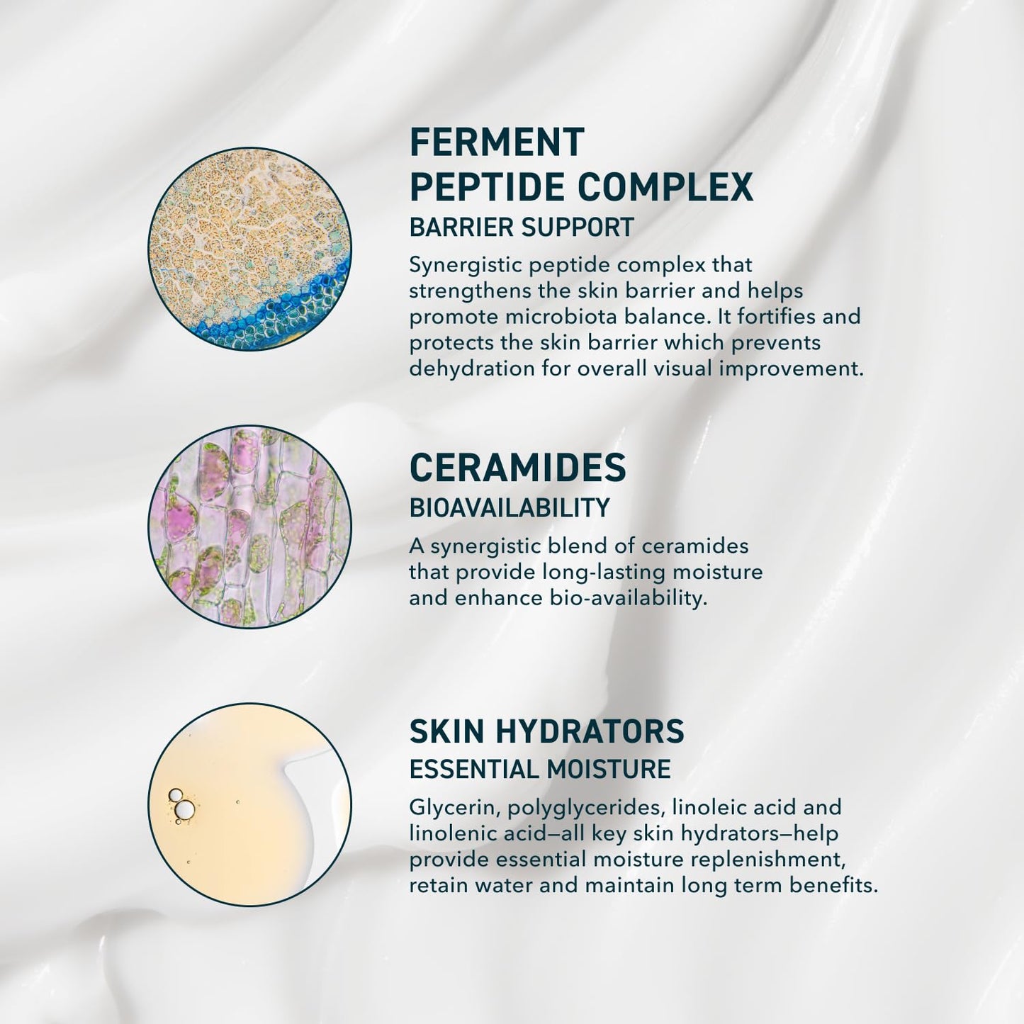 Prequel Skin AM/PM Modern Moisturizer - Hydrating Face Cream with Peptides, Ceramides & Glycerin for Dry, Sensitive, or Combination Skin - Non-Greasy Beauty and Personal Care Prequel