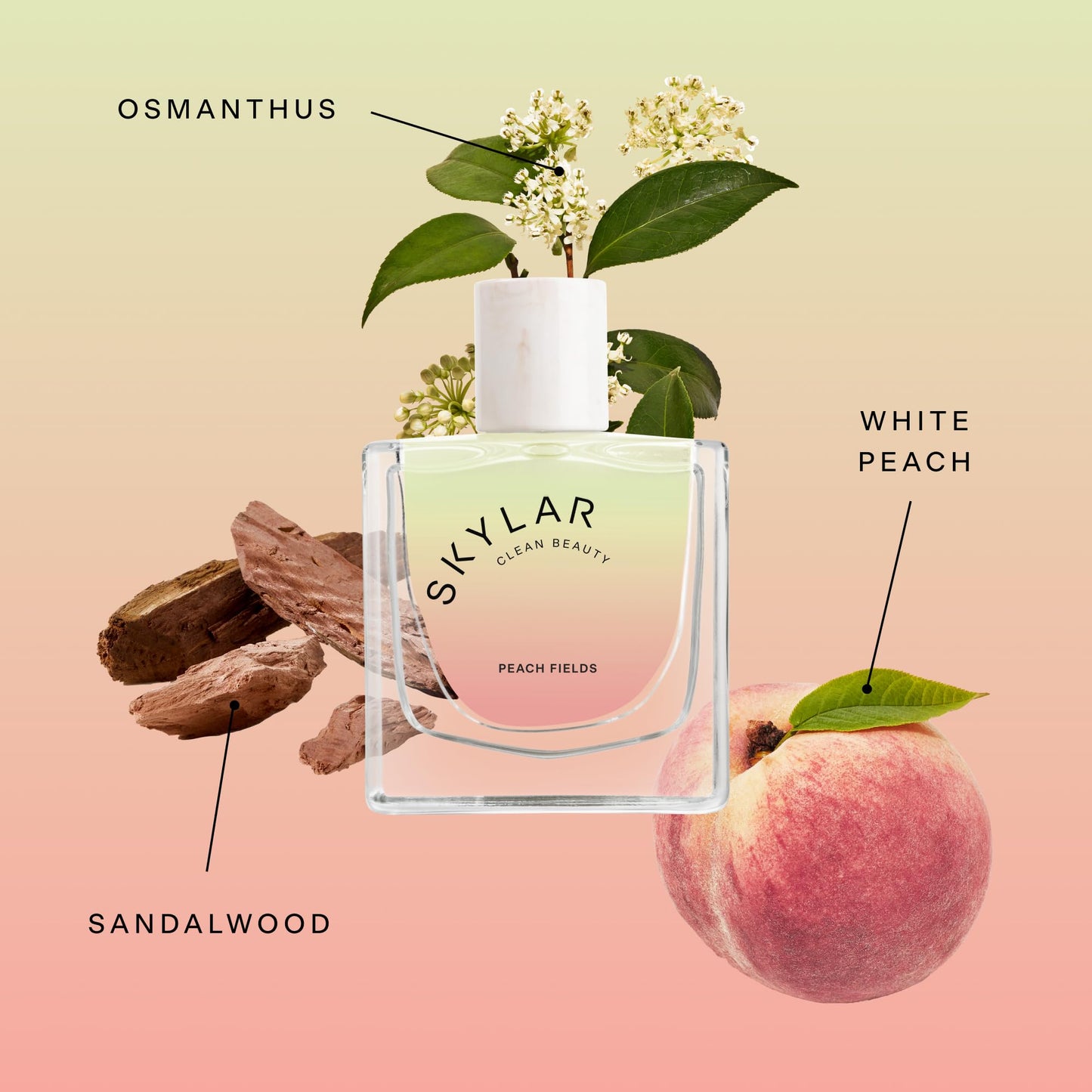 Skylar Peach Fields Eau de Parfum - Hypoallergenic & Clean Perfume for Women & Men, Vegan & Safe for Sensitive Skin - Sweet Perfume with Notes