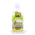 Bubble Shack Juicy Pineapple Body Lotion, 8oz