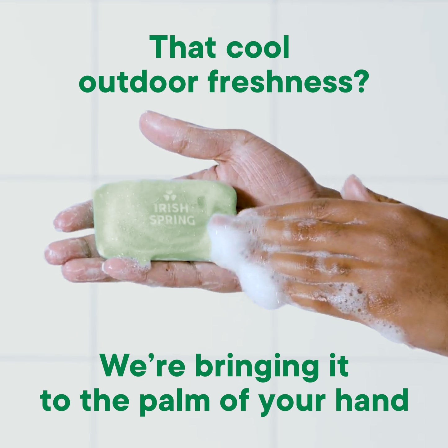 Irish Spring Aloe Vera Moisturizing Bar Soap, 44.4 Oz