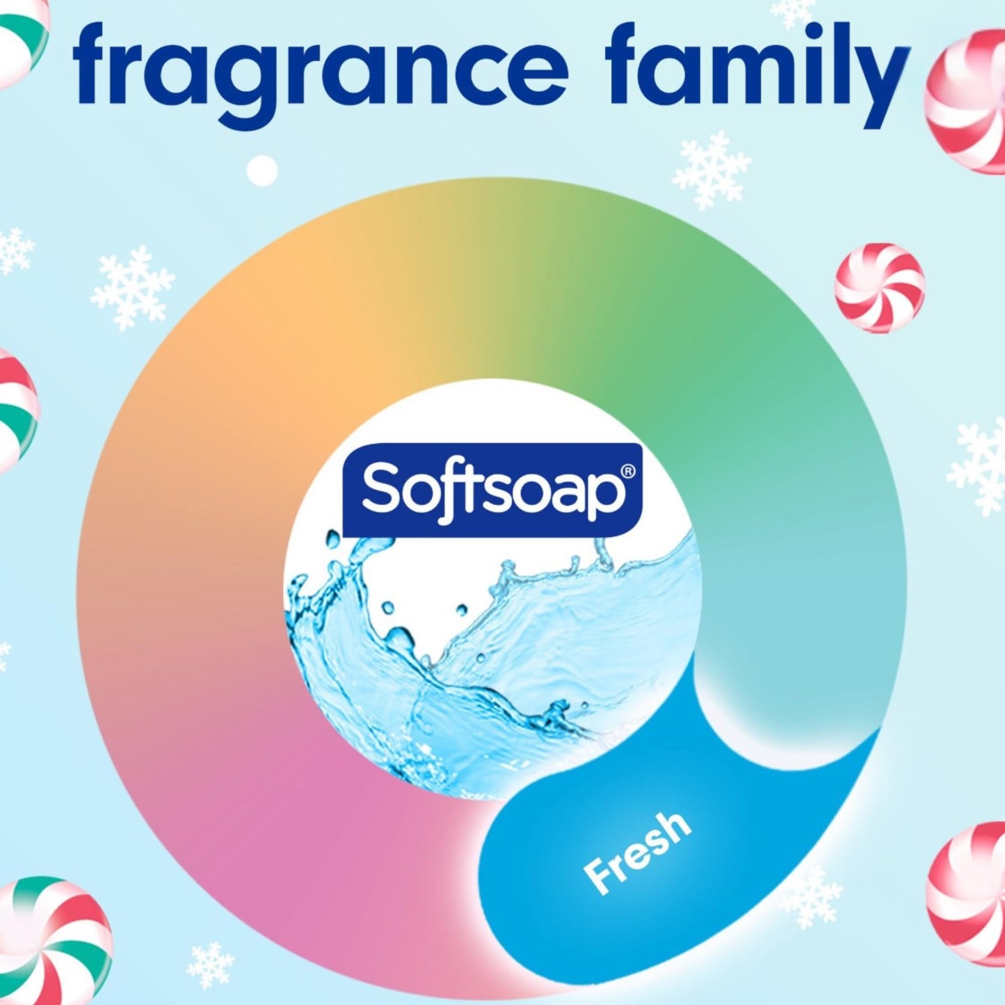 Softsoap Limited Edition Frosty Mint Peppermint Scented Liquid Hand Soap, 11.25 Fl Oz, 2 Pack, Winter Holiday Design