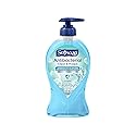 Softsoap Antibacterial Liquid Hand Soap Pump, Clean & Protect, Cool Splash - 11.25 Fl. Oz