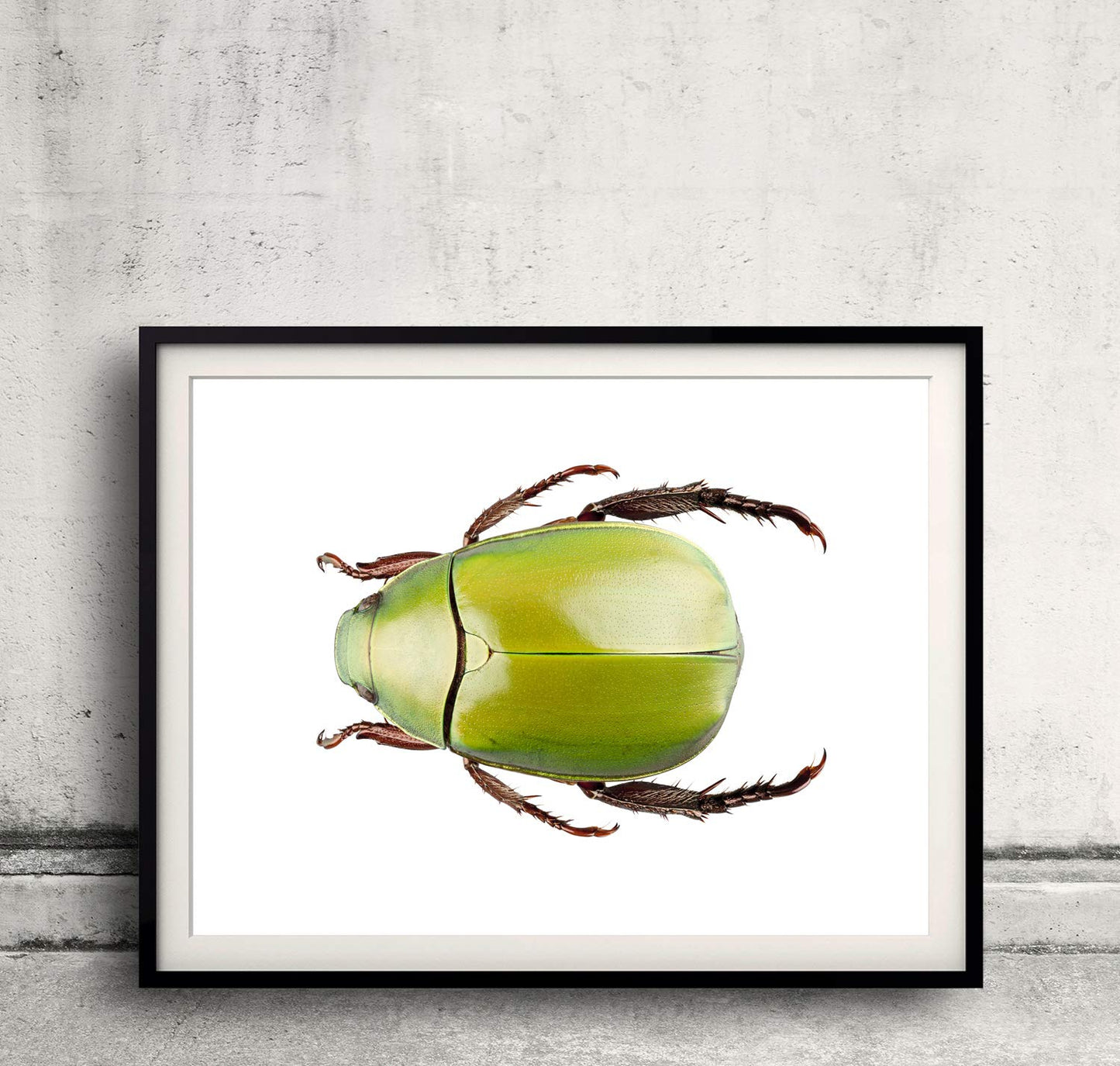 McFarlane: Dragon Series 7 - Fire Dragon Clan