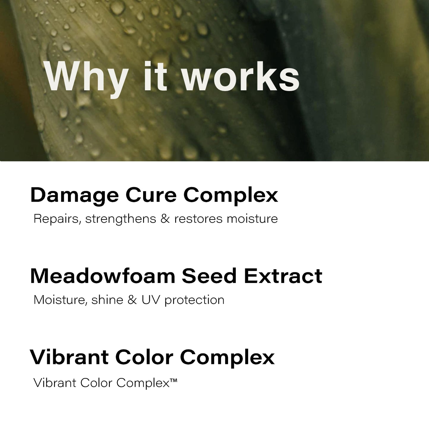Eufora Beautifying Elixirs Elixirone
