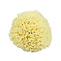 Neptune Natural Renewable Sea Wool Sponge, Hand Cut, Large, Approx. 6-7"