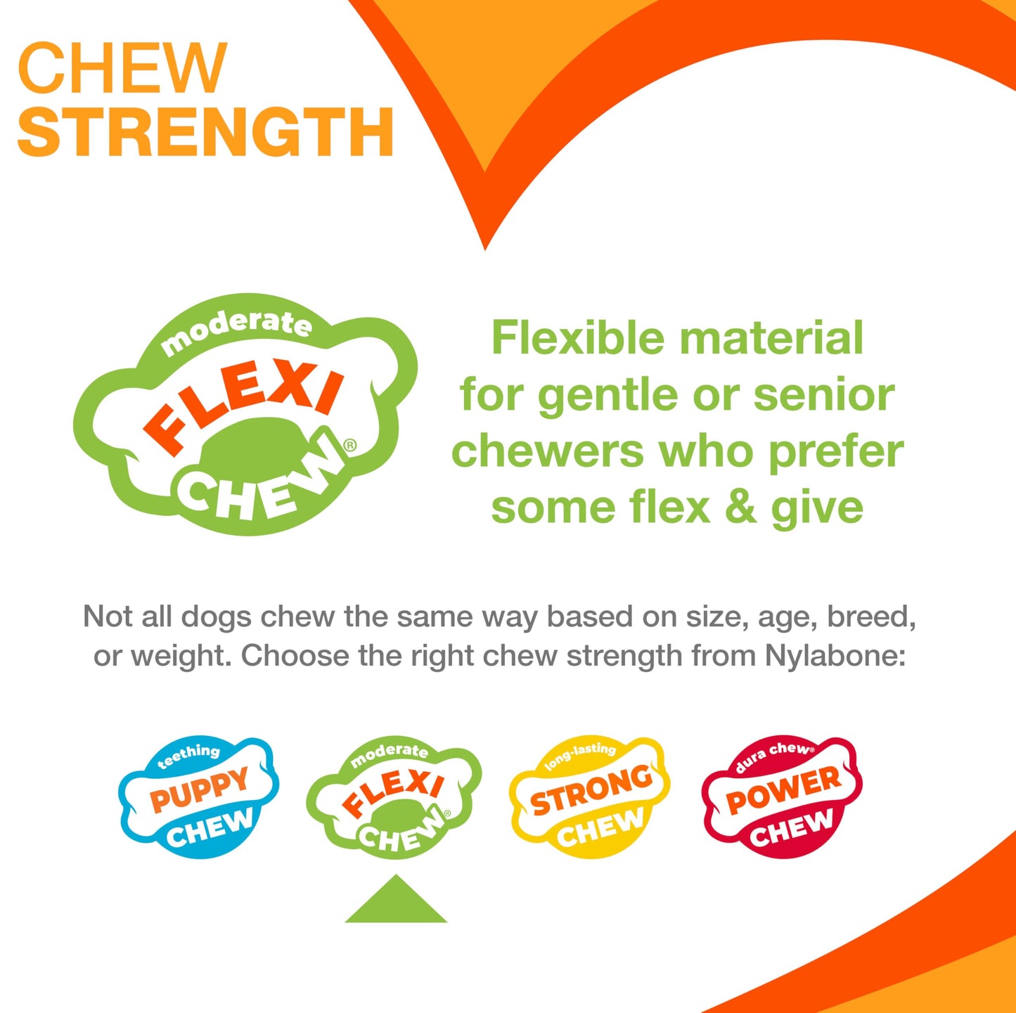 Nylabone Moderate Flexi Chew Bones – Peanut Butter & Bacon Flavor, XX-Small/Tiny Dogs, 2 Count
