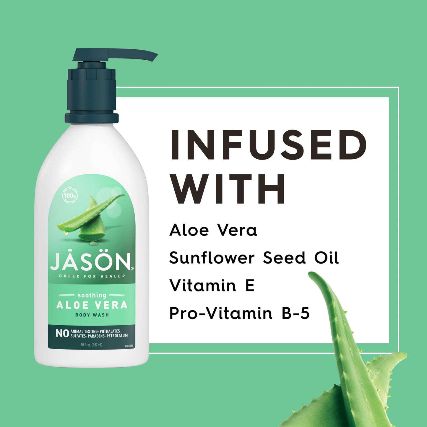 JASON Aloe Vera Soothing Body Wash, For a Gentle Feeling Clean, 30 Fluid Ounces Beauty & Personal Care JASON
