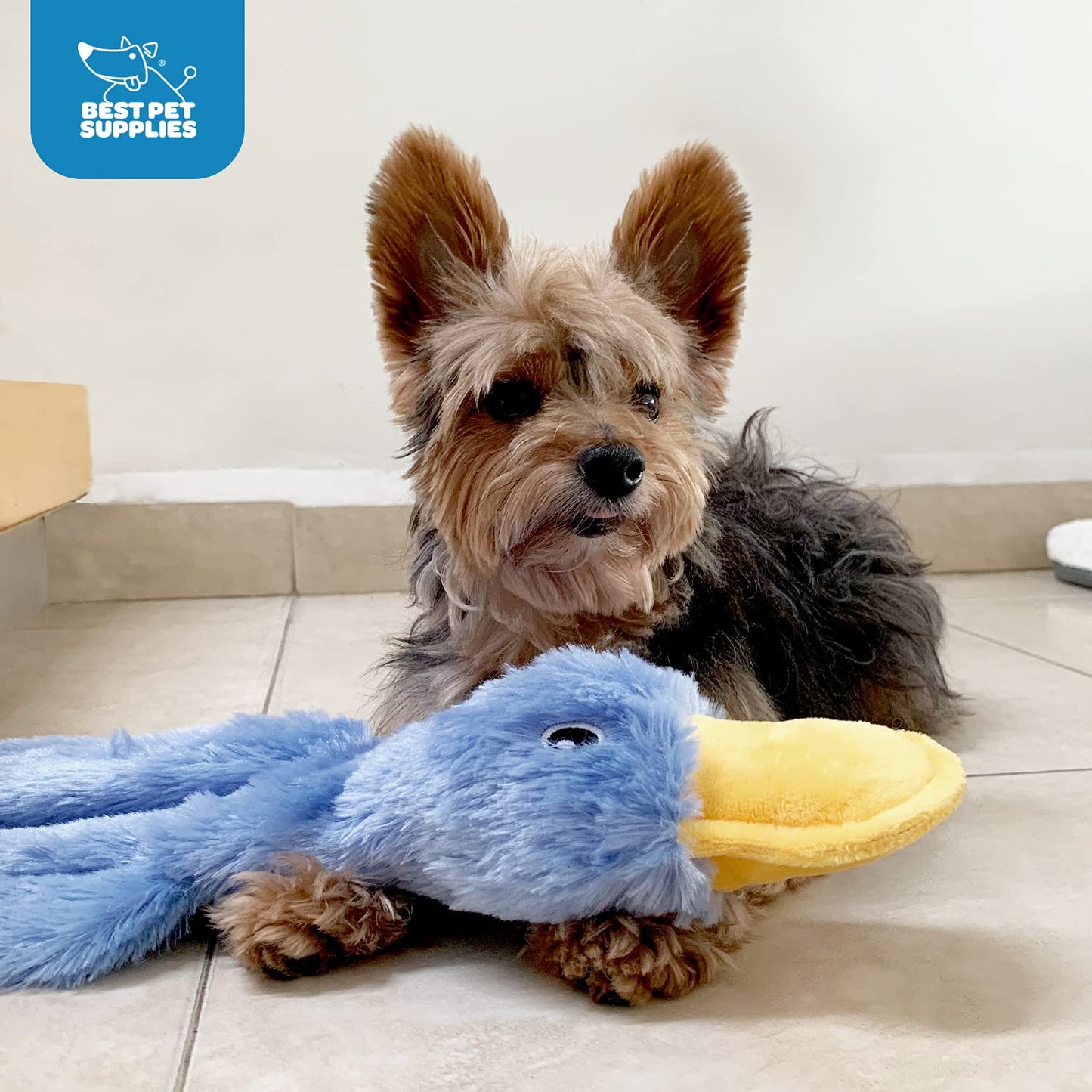Best Pet Supplies Crinkle Dog Toy – Plush No-Stuffing Duck with Squeaker for All Breeds, Fun Indoor Chew & Play