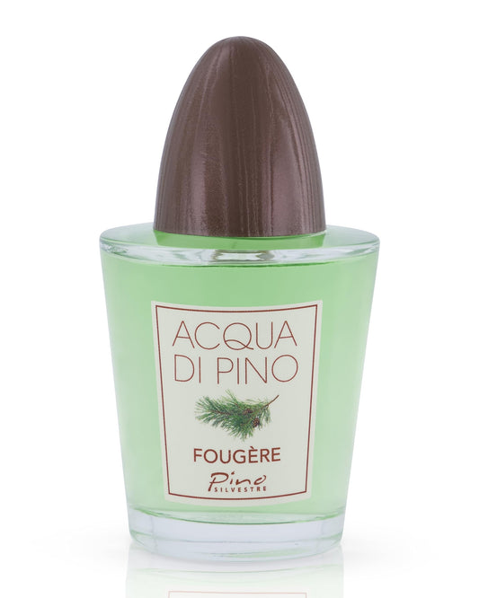 Acqua Di Pino Fougere By Pino Silvestre For Men - A Men's Eau De Toilette Cologne Perfume Spray With An Intense Fragrance For Every Guy - A Truly Male
