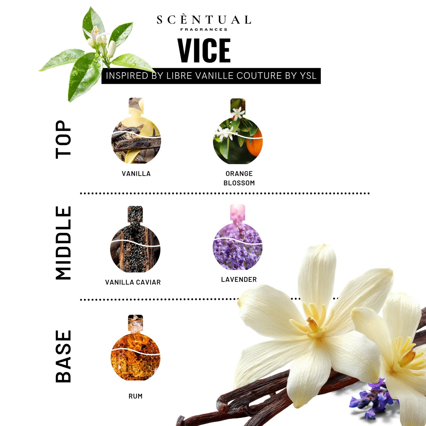 Scentual Fragrances, Vice Ultra-Concentrated Hair & Body Perfume Mist, Long Lasting Women's Fragrance, Gourmand Perfumes for Women, Vegan and Cruelty