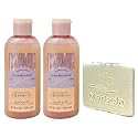 Bath & Body Works Champagne Toast 2 Pack Mini Moisturizing Shampoo Bundle with a Natural Oats Sample Soap - Travel Size