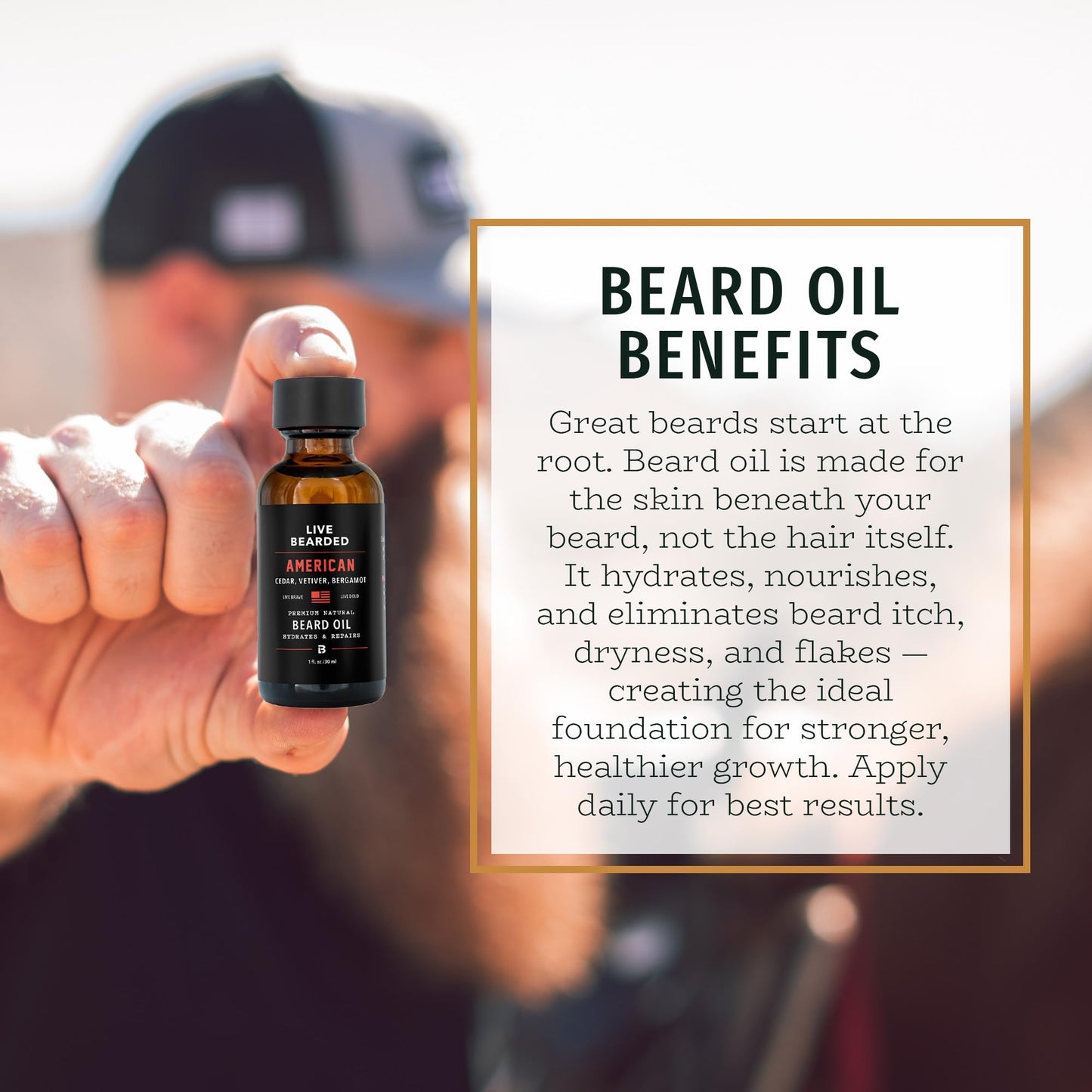 Live Bearded Beard Oil, 1 fl oz - Premium All-Natural Jojoba - Made in the USA - Hair and Skin Care for Men with Dry, Flaky Patches | American Scent