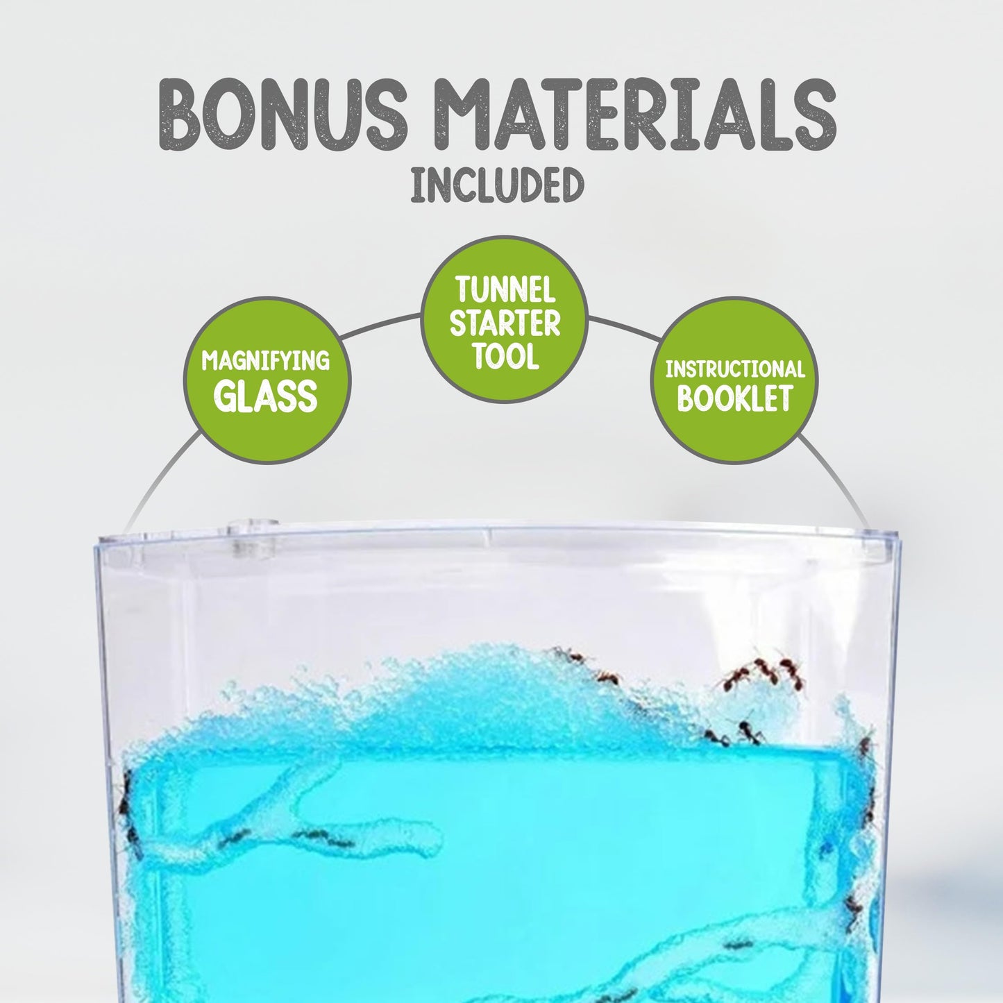 Ant Habitat Kit with 25 Live Ants Shipped Now - Ant Terrarium Complete Set with Clear Nutrient Gel - Perfect for Learning and Fascinating Observation