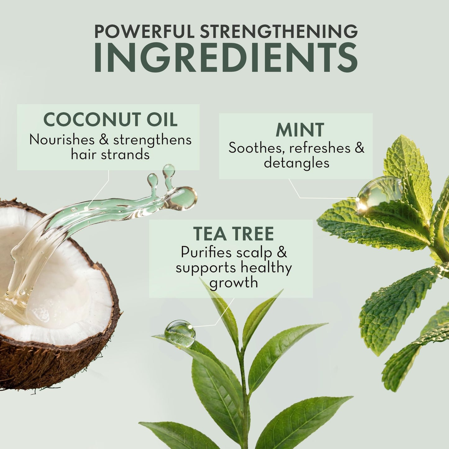 Leave In Conditioner Spray - Tea Tree Scalp Treatment Beauty and Personal Care PHARM TO TABLE