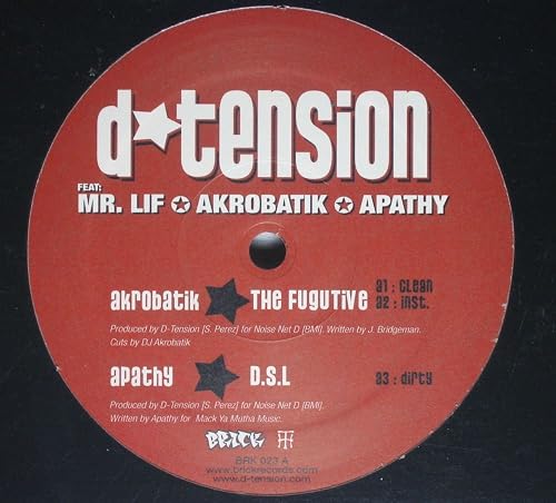 Trouble Shooting/The Fugitive/DSL [Vinyl]