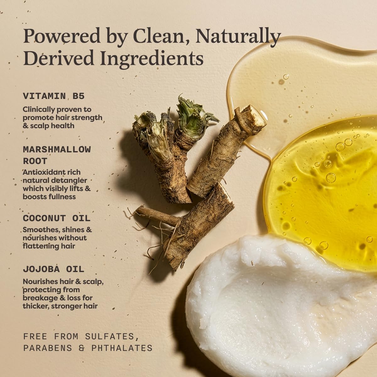 The Earthling Co. Volumizing Shampoo Bar For Hair Thickening, Fullness, Strength, and Hair Growth - Sulfate, Silicone, Paraben Free for Thinning Beauty and Personal Care The Earthling Co.