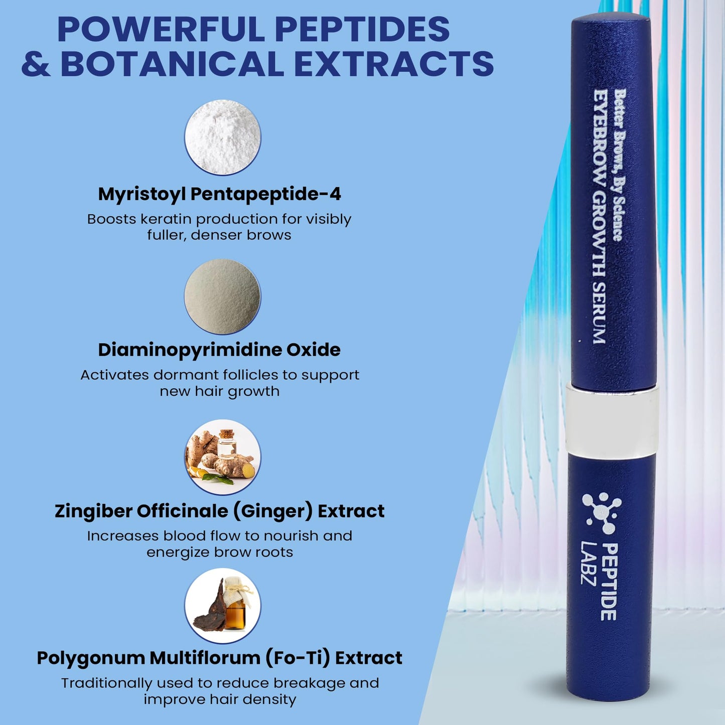 Eyebrow Growth Serum for Thicker, Fuller Brows - Peptide & Botanical Extract Complex with Ginger and Polygonum - 5ml Beauty & Personal Care PeptideLabz