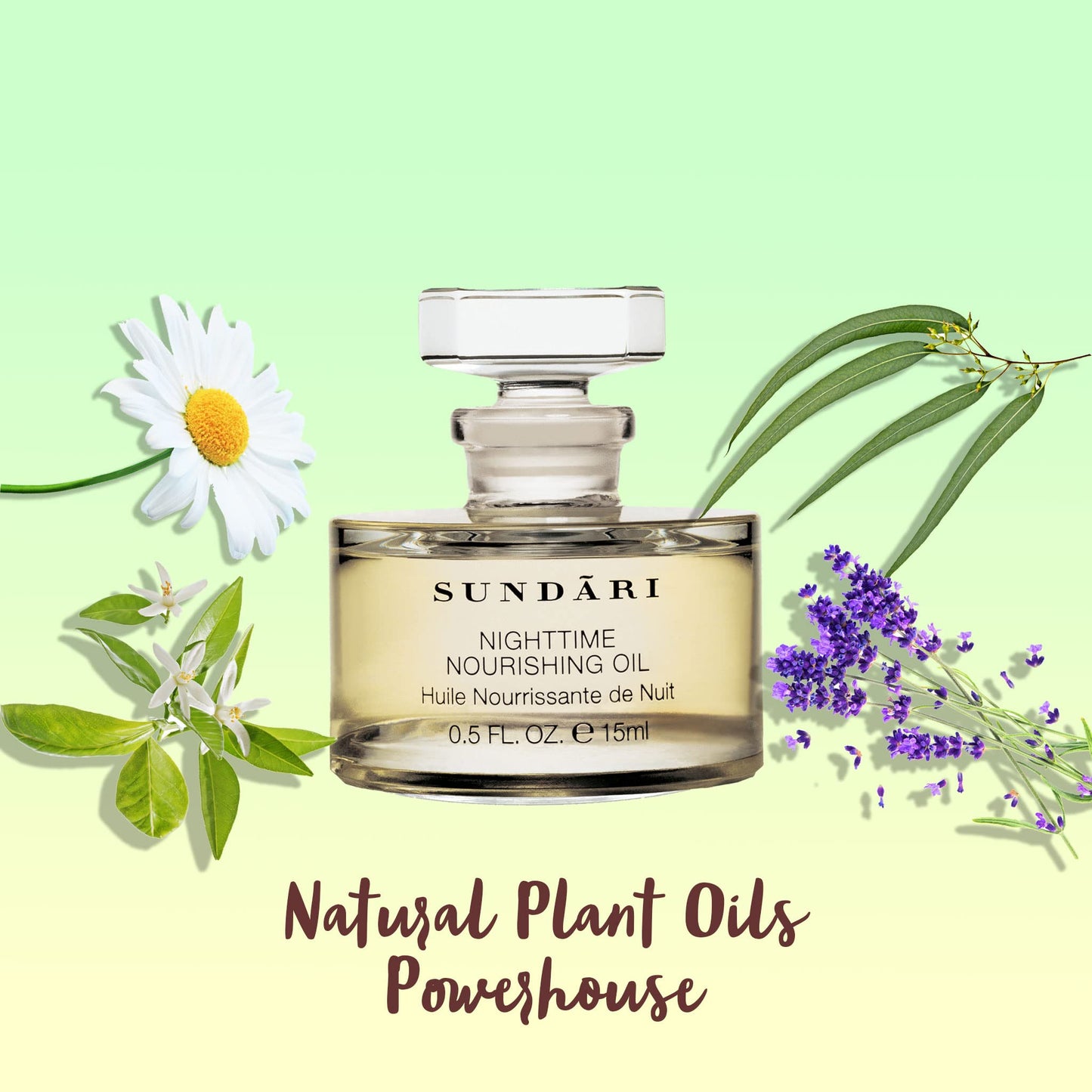 SUNDARI Nighttime Nourishing Oil, 0.5 Fl Oz, Ayurvedic Face Oil, Deep Hydration, Reduces Fine Lines, Revitalizes Skin for a Youthful Glow