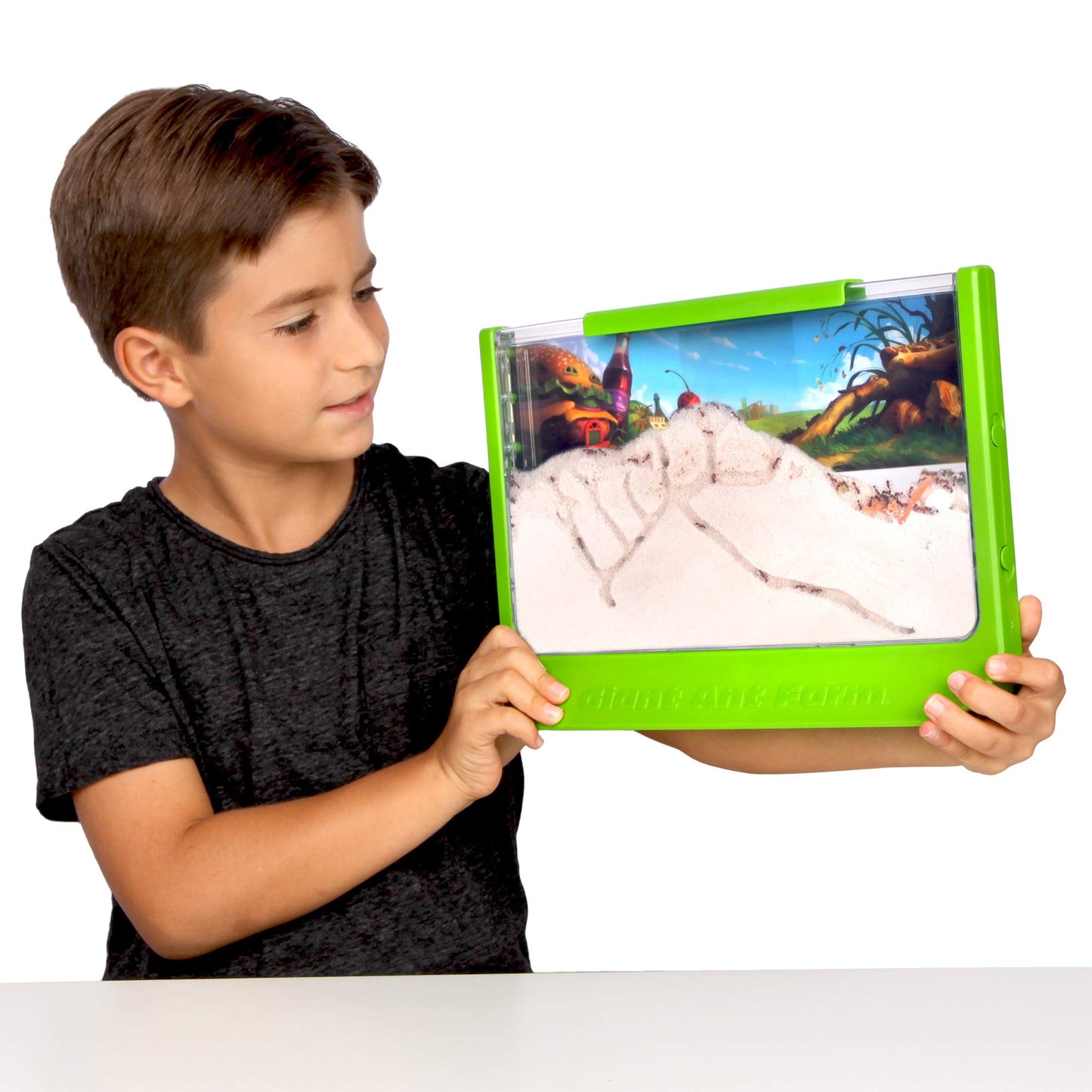 Uncle Milton Giant Ant Farm – Large Viewing Habitat to Care for Live Ants, Nature Learning & Science DIY Toy Kit, Educational Gift for Boys & Girls