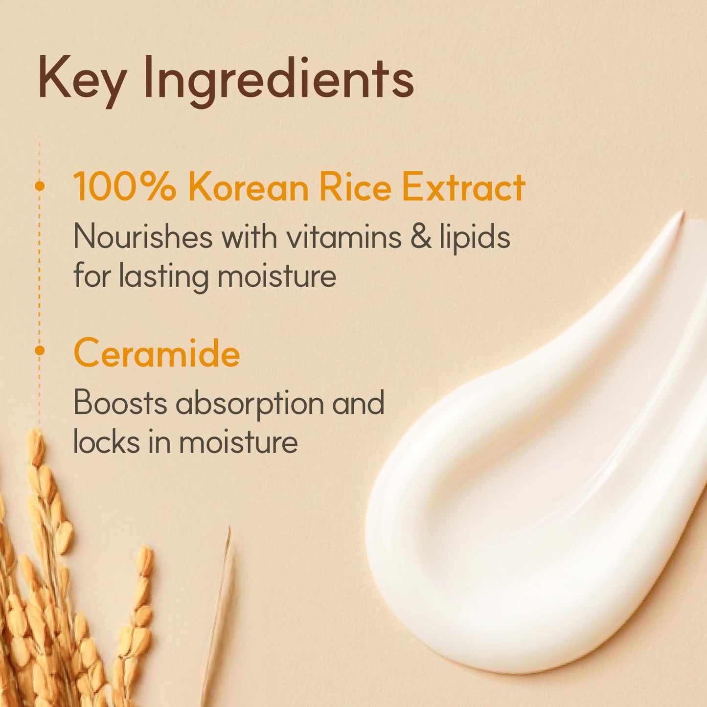 The Face Shop Rice Ceramide Cream, Hydrating Face Moisturizer, for Dry & Combination Skin, Lightweight, Fast-absorbing, 1.69 fl. oz. Beauty and Personal Care The Face Shop