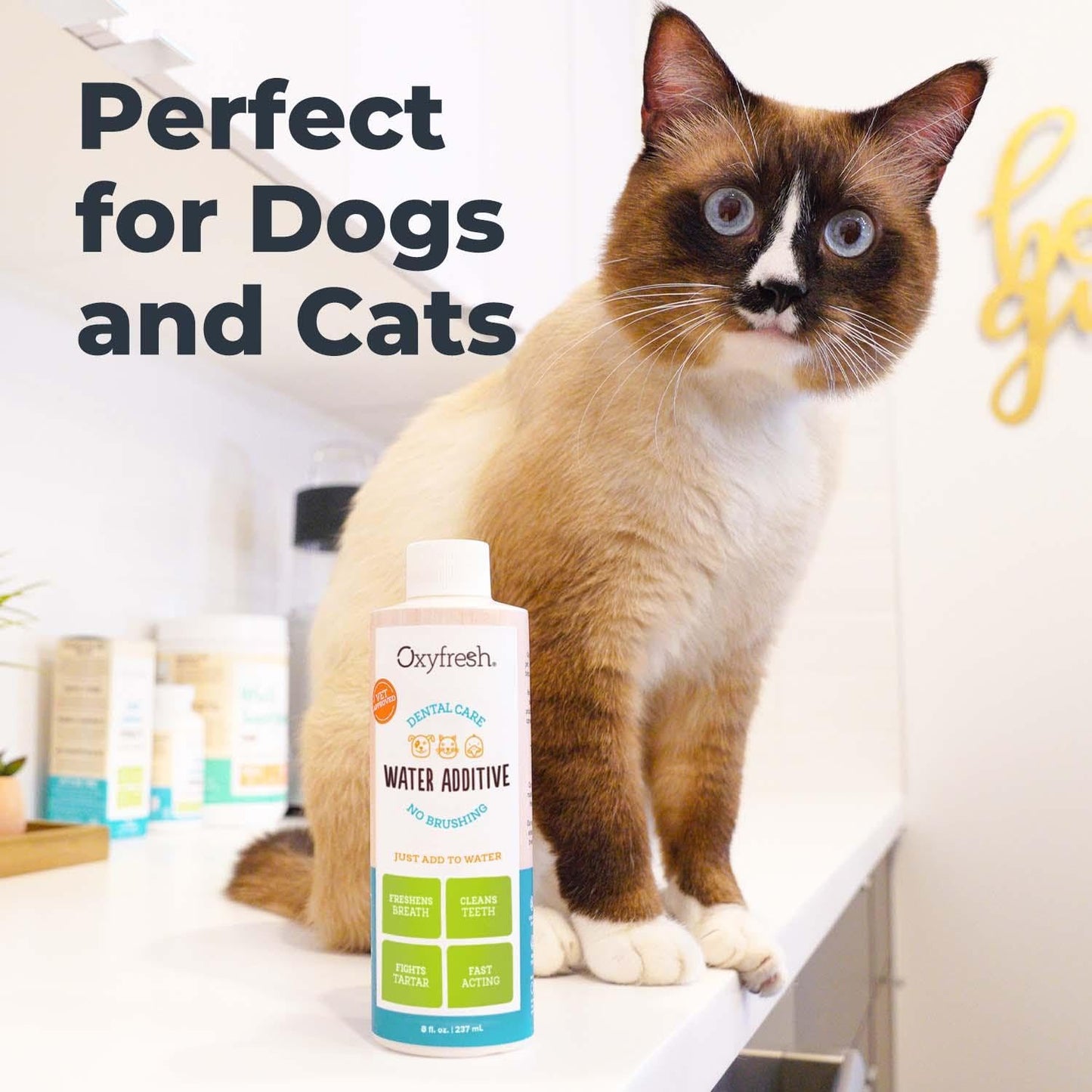 Oxyfresh Pet Dental Water Additive – Eliminates Bad Breath, Fights Plaque & Tartar – Vet Recommended for Dogs & Cats, 16 oz