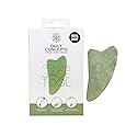 Daily Concepts Gua Sha Jade Facial Tool, Renews Skin by Increasing Blood Flow and Flushing Out Lymphatic Drainage, Stimulating Skin for Radiant