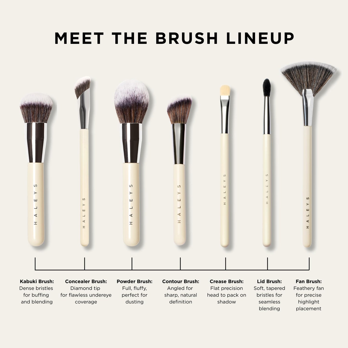 HALEYS Beauty Crease Eyeshadow Makeup Brush, Medium Fluffy Tapered Blending Brush for Eye Shadow & Highlighter Make Up, Seamless Application for Cream