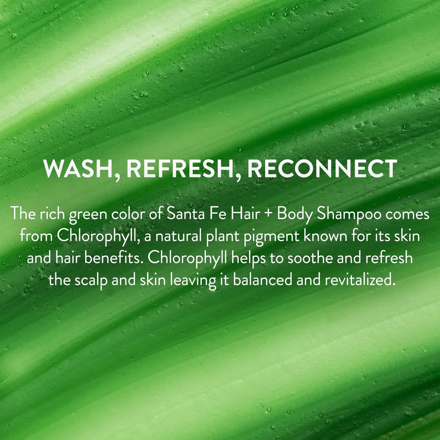 PHILIP B Santa Fe Hair and Body Shampoo (11.8 Fl Oz) - Gentle Cleanser, Hydrates and Softens with Shea Butter & Vitamin B5