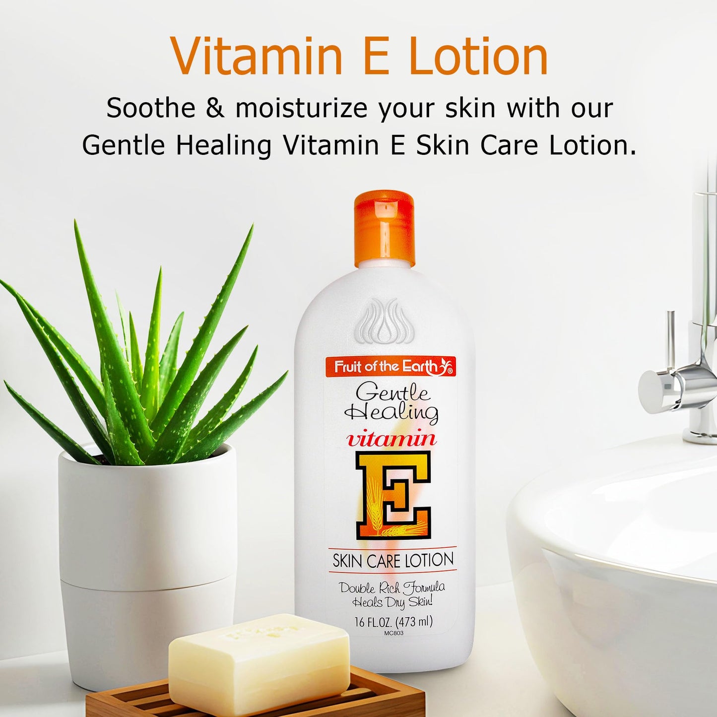 Fruit of the Earth, Vitamin E Lotion 16 oz (2 Pack), with Natural Antioxidants and Aloe Vera, Non-Greasy Formula