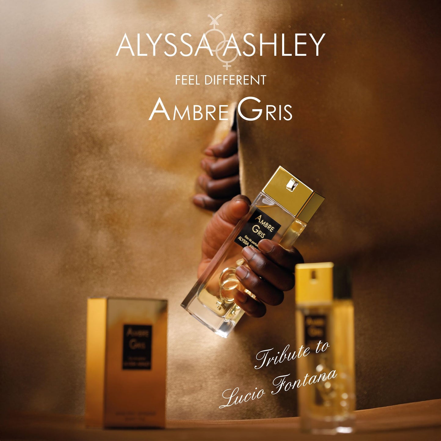 Alyssa Ashley Ambre Gris - Vanilla Perfume for Women - Elegant Women Fragrances - Exquisite Vanilla, Long Lasting Sensual Notes - 1 oz EDP Spray Beauty & Personal Care ALYSSA ASHLEY