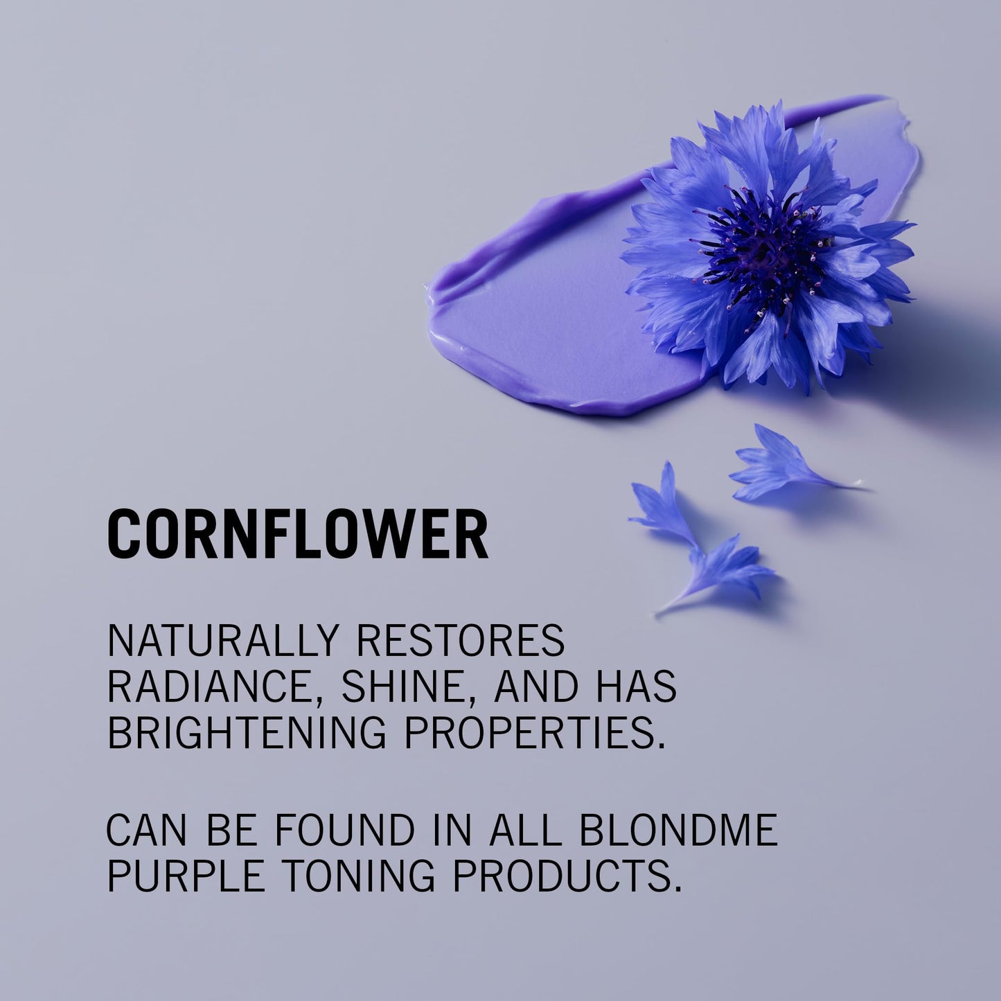 BLONDME Bond Repair Purple Shampoo & Conditioner Bundle | Neutralized Yellow Undertones, Prevents Brassiness & Strengthen Blonde Hair