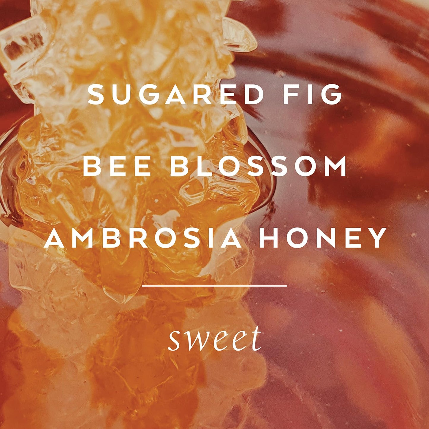 Library of Flowers Honeycomb Eau de Parfum, 1.69 Fl. Oz., Sugared Fig, Ambrosia Honey & Royal Bee Blossom Scented Women's Perfume, Luxury Fragrance