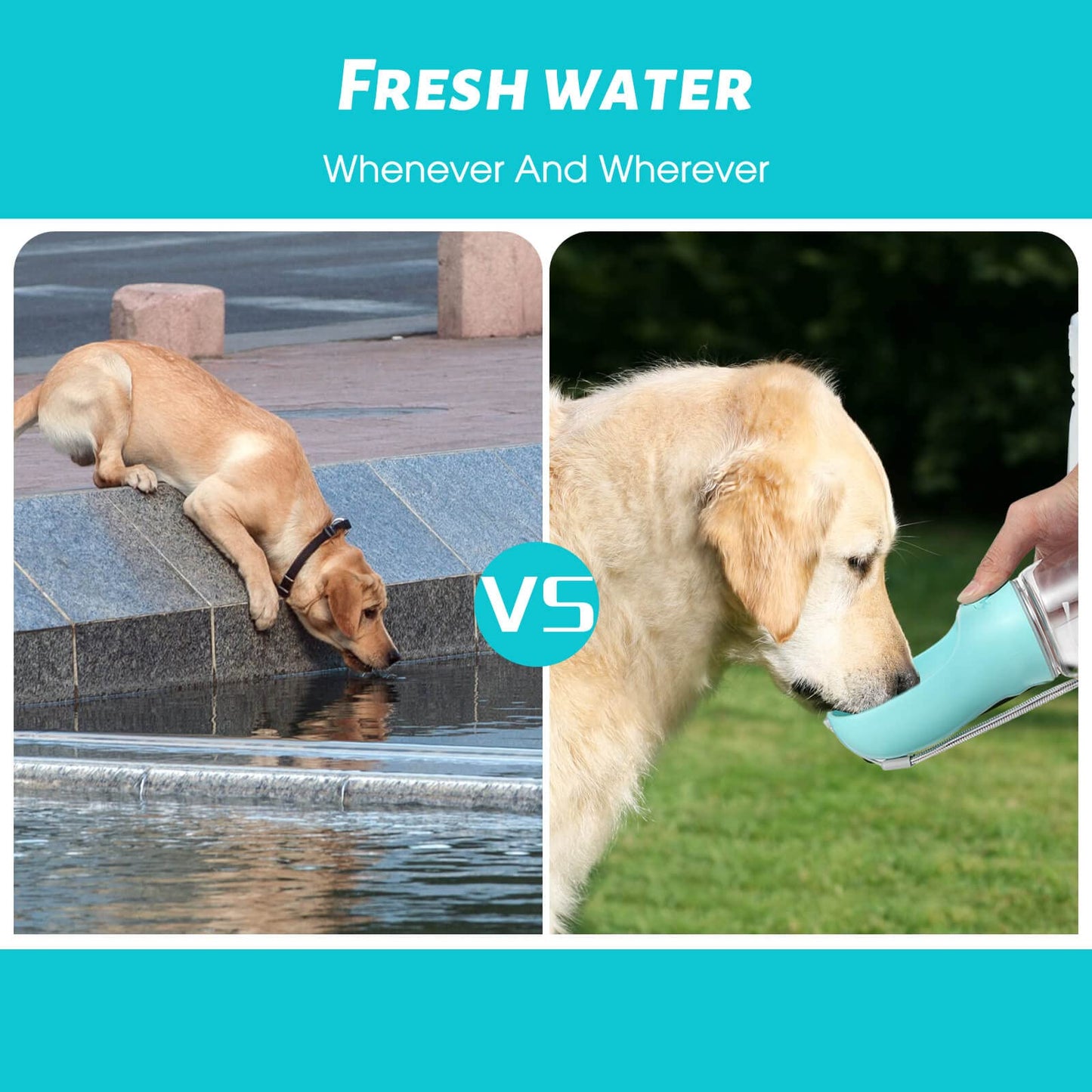 Kalimdor 19oz Dog Water Bottle – Leak-Proof Portable Pet Water Dispenser & Feeder for Outdoor Walking, Hiking, Travel – Food-Grade Plastic, Blue