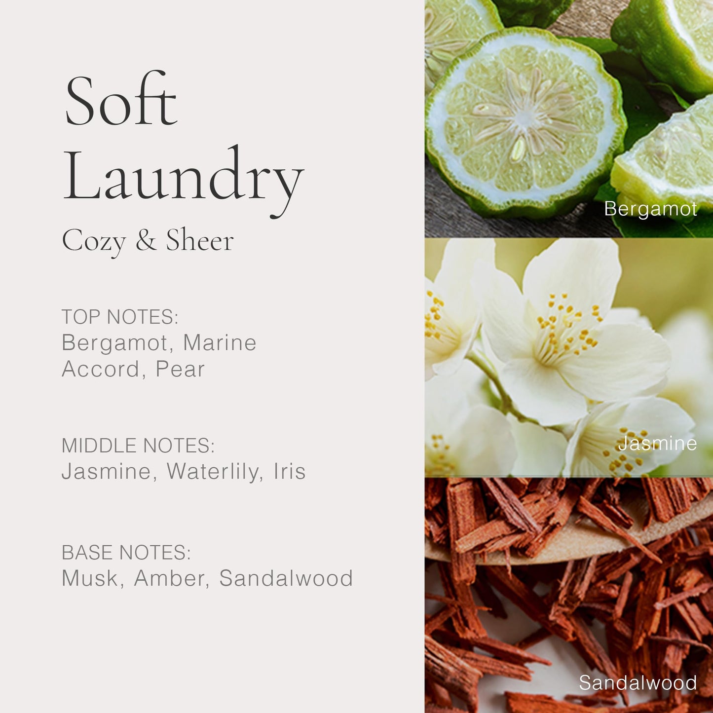 CLEAN CLASSIC Soft Laundry 30mL