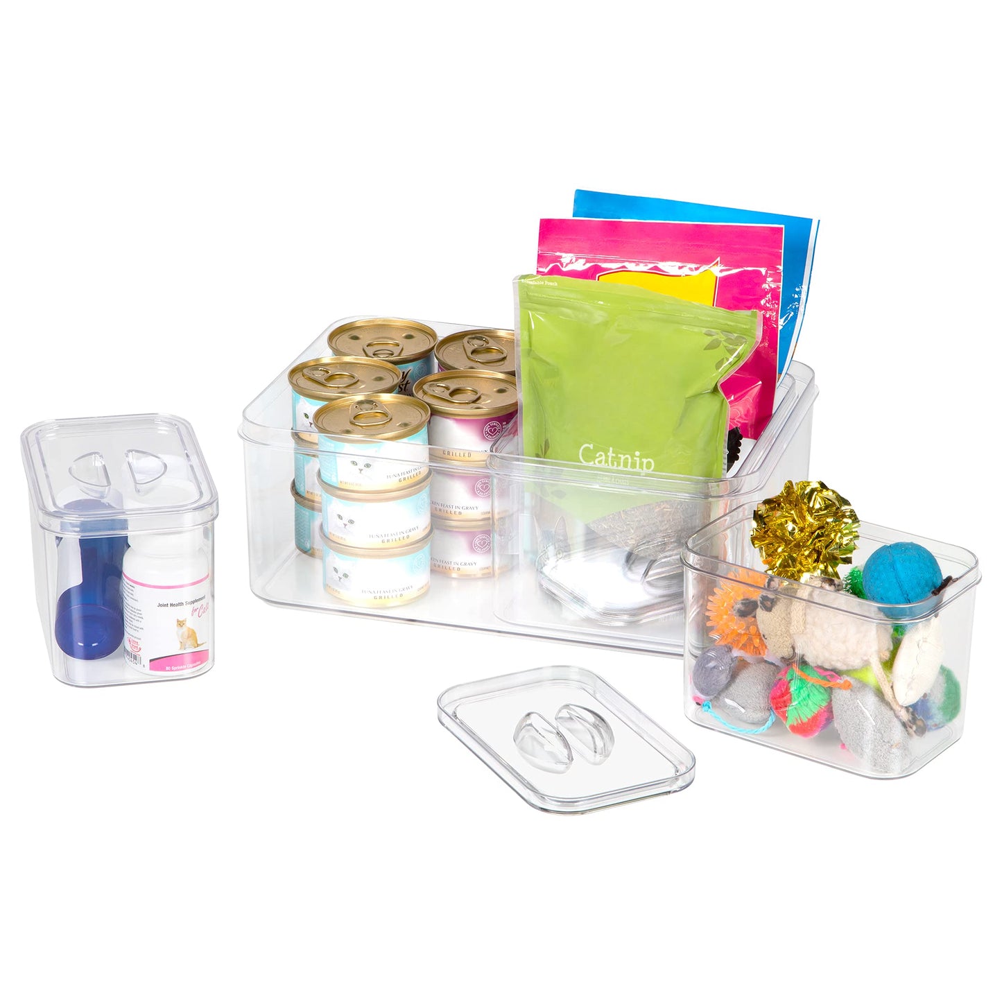 Richards Homewares Clear Plastic Storage Bins with Lids - 1 Large, 1 Medium and 2 Small Storage Containers for Closet Fridge Pantry Organizing