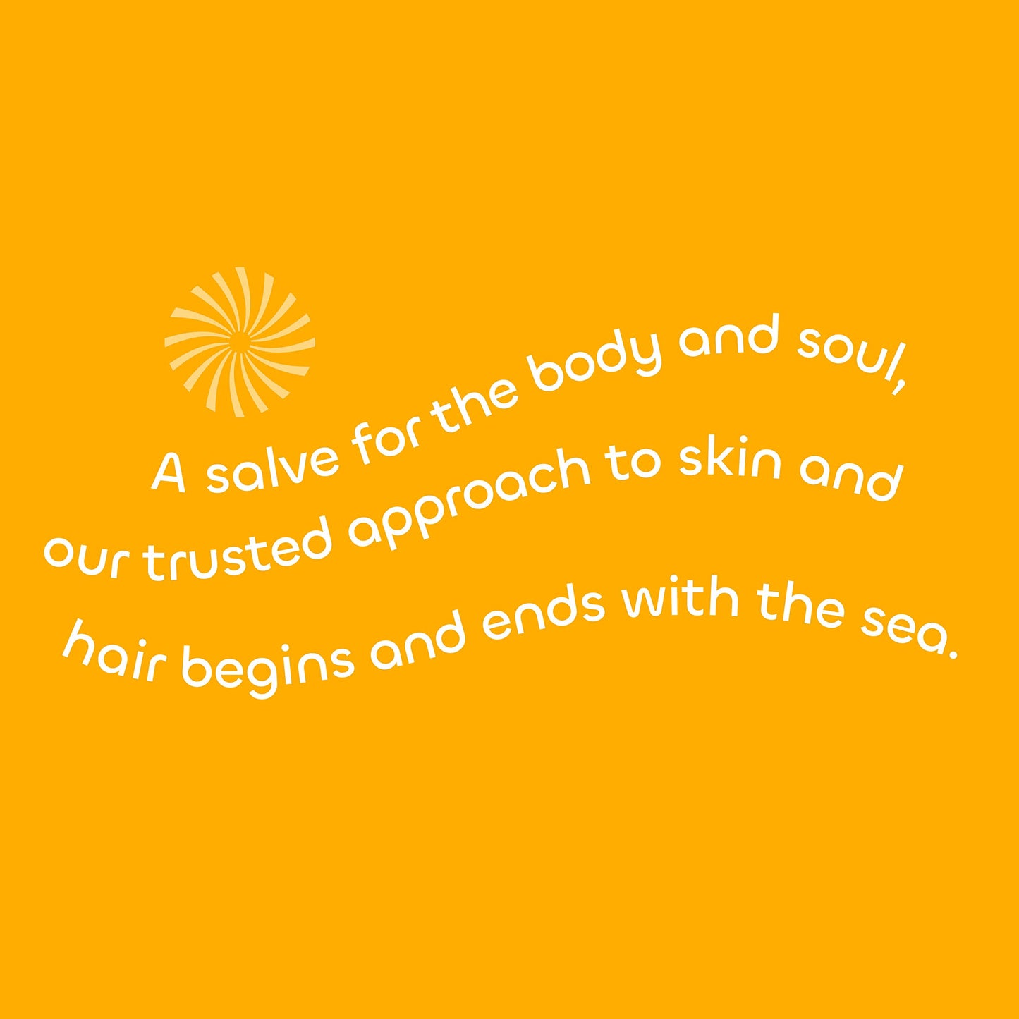 Seaweed Bath Co. Hydrate Body Cream, Citrus Vanilla Scent, 6 Ounce, Nourishing Hand & Body Lotion Moisturizer for Dry Skin, with Sustainably Harvested