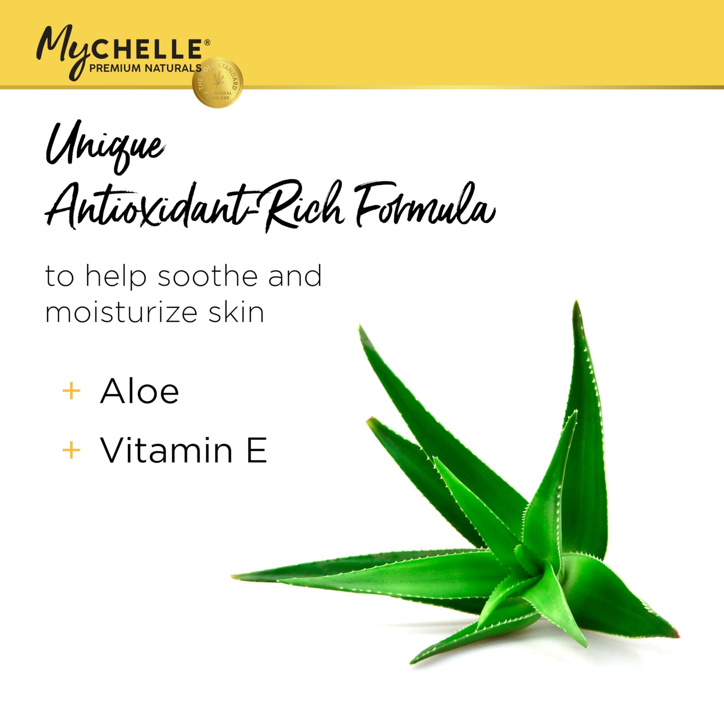 MyCHELLE Dermaceuticals Sun Shield SPF 28 Coconut (2.3 Fl Oz) - Soothing Reef Safe Sunscreen with Vitamin E and Aloe - Travel Size Zinc Sunscreen