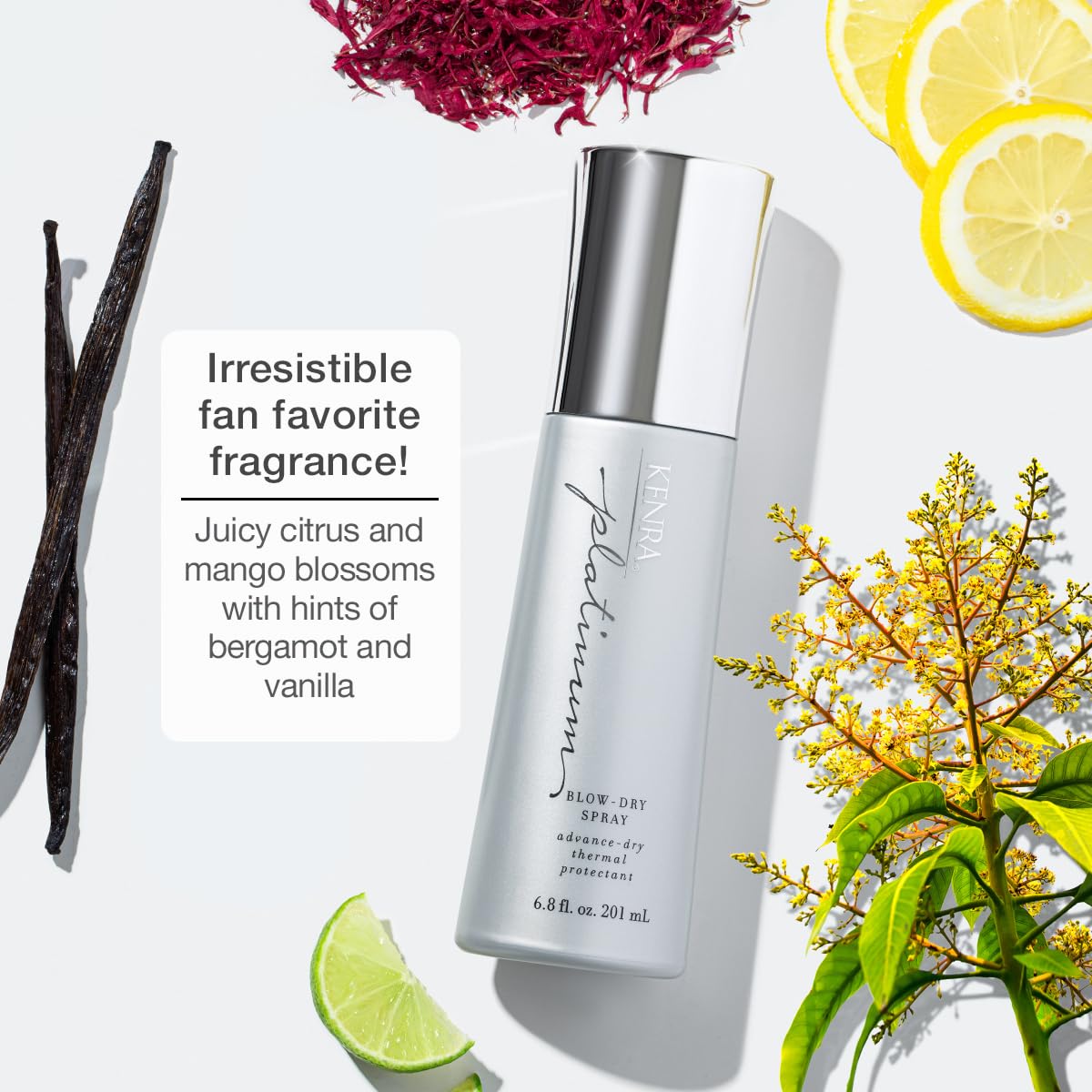 Kenra Professional Platinum Blow-Dry Spray | Time-Saving Heat Protectant | Detangles, Smooths, and Softens | Eliminates Frizz & Resists Humidity |