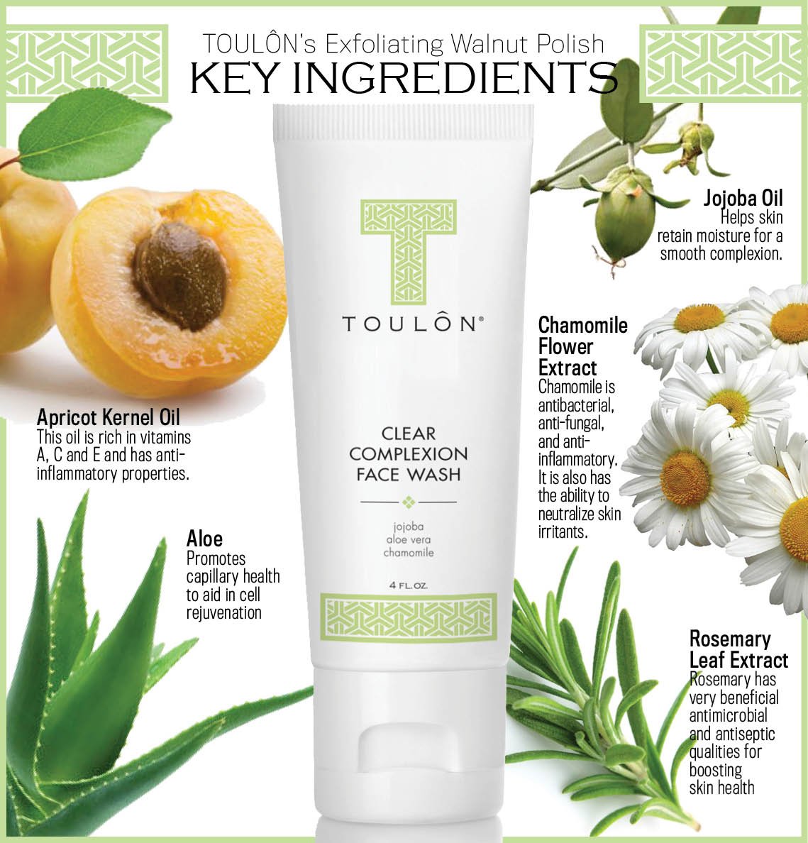 TOULON Aloe Vera Face Wash - Anti Aging Face Cleanser for Oily Skin & Clear Complexion. Antioxidant Facial Cleanser For Women and Men