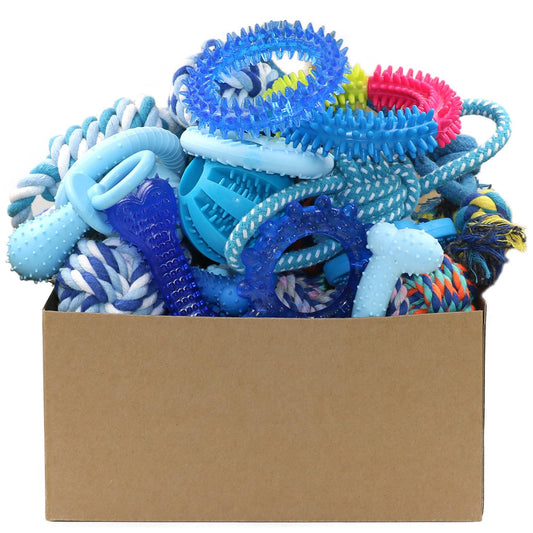 Beiker 20 Pack Puppy Chew Toys - Blue Teething Rings, Ropes & Rubber Balls for Small Dogs, Interactive Puppy Toys Bundle for Small Breeds