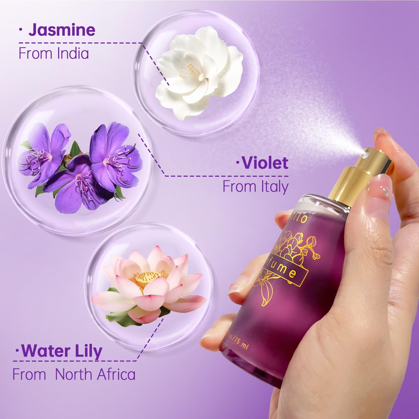 Aiilo Hair Perfume, Natural Fragrant Hair Perfume for Women, 8 Hours Longevity, Suitable for Hair, Body & Clothes - 75ml/2.54 fl oz (Transparent