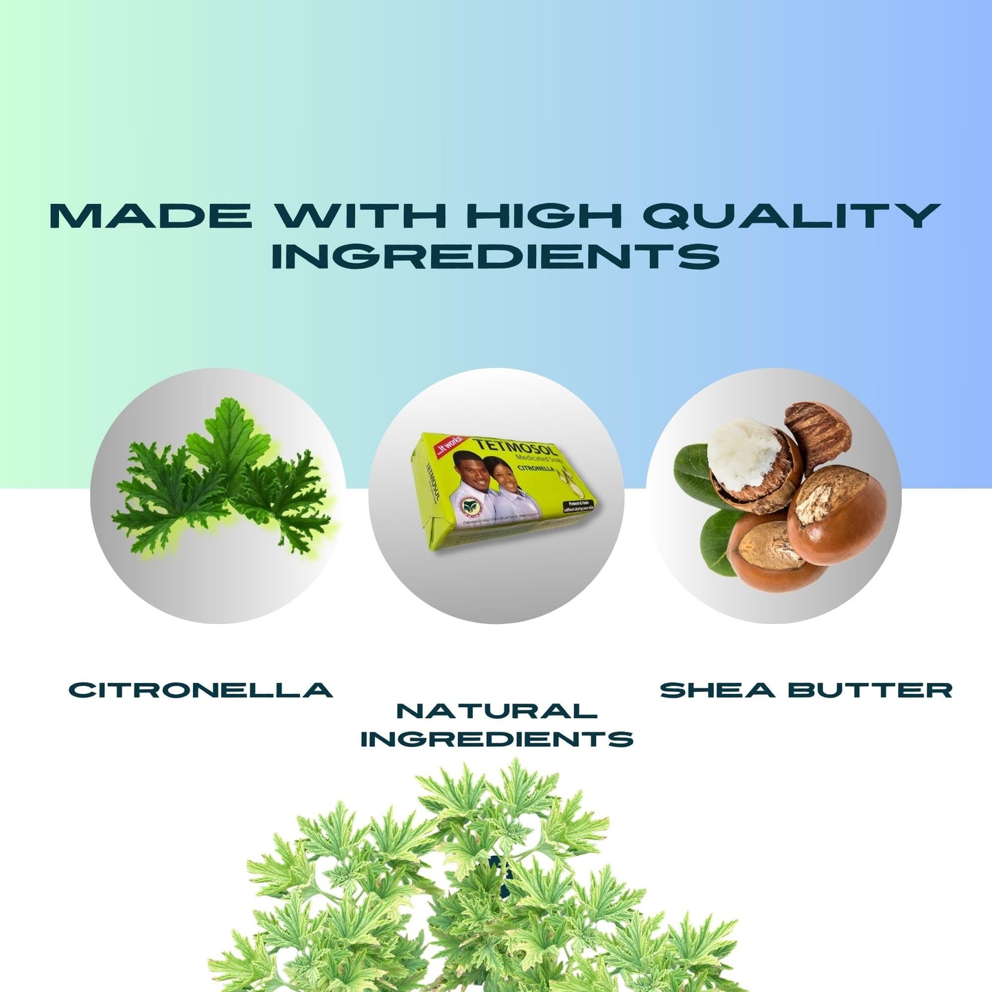 NatoGears Tetmosol Medicated Soap Big Size With Citronella 120g (10)