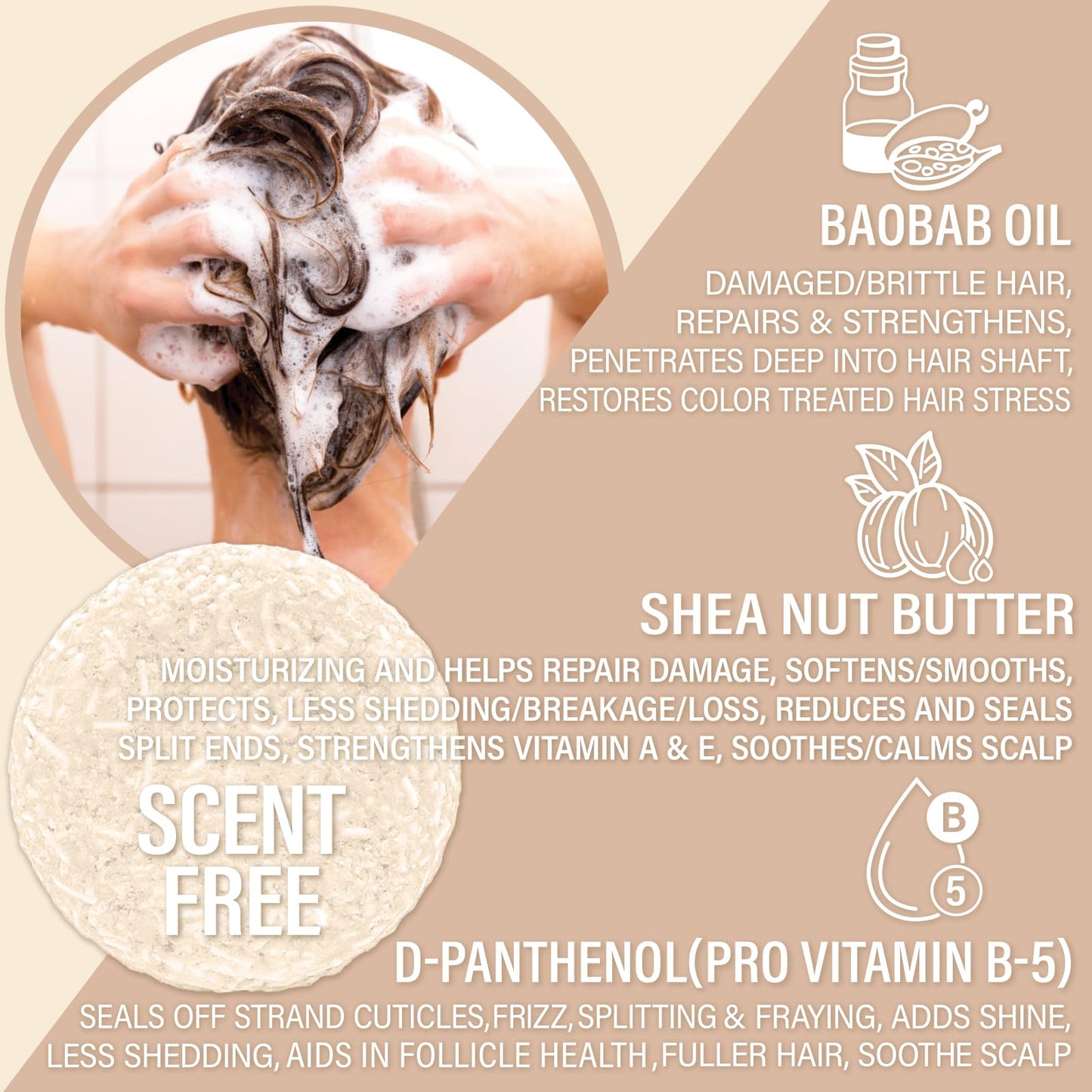 Bar Shampoo and Conditioner by Luxiny - Sulfate Free, Unscented Set With 1 Shampoo Bar (60g) & 1 Deep Conditioner Bar (50g), Made in USA (Fragrance