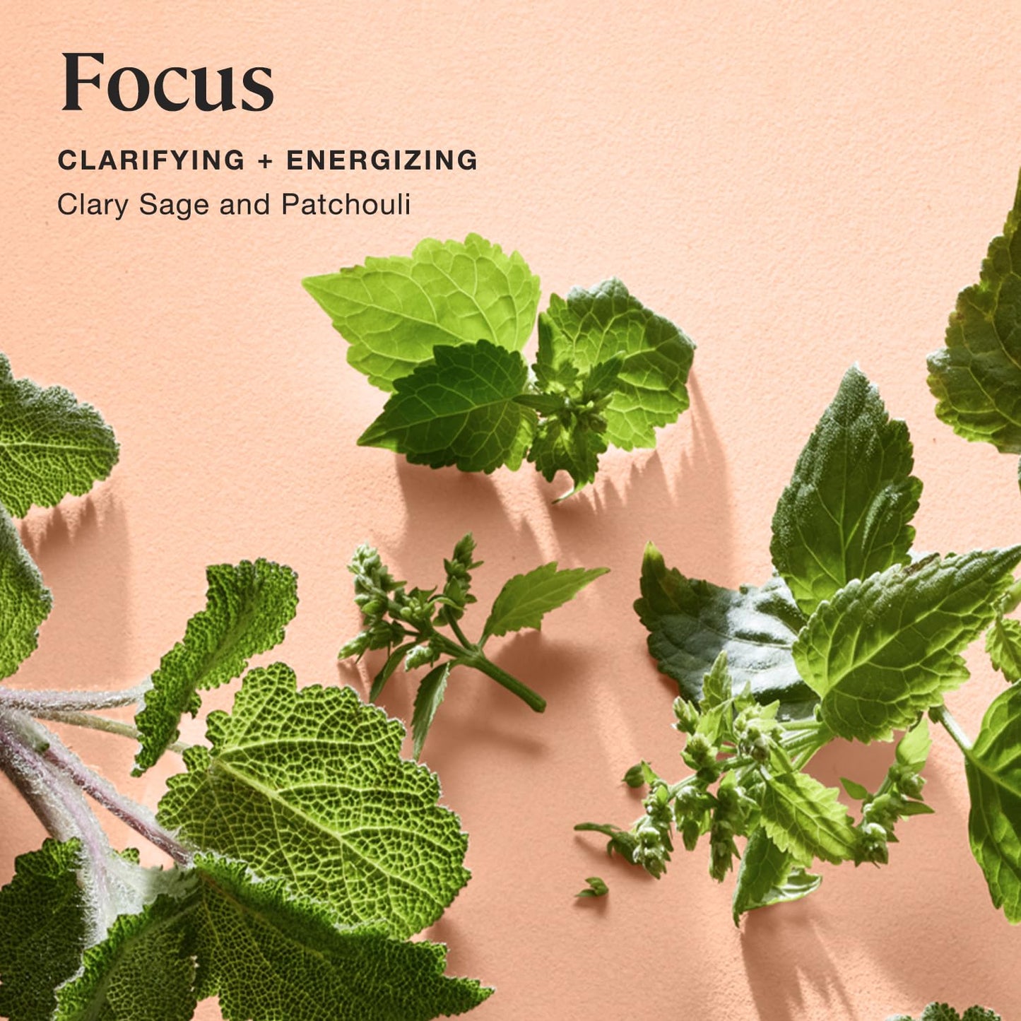 Sprig by Kohler Clary Sage + Patchouli Bath Bomb, Hypoallergenic, Made with Natural Botanicals & Premium Skincare Ingredients (Shea Butter, Coconut…