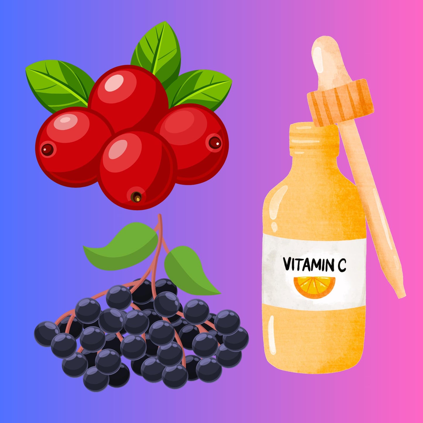 RIVER & ROWE Vitamin C Exfoliating Body Wash - Smoothing Daily Cleanser with Elderberry & Cranberry Antioxidant Support For a Radiant Skin Experience