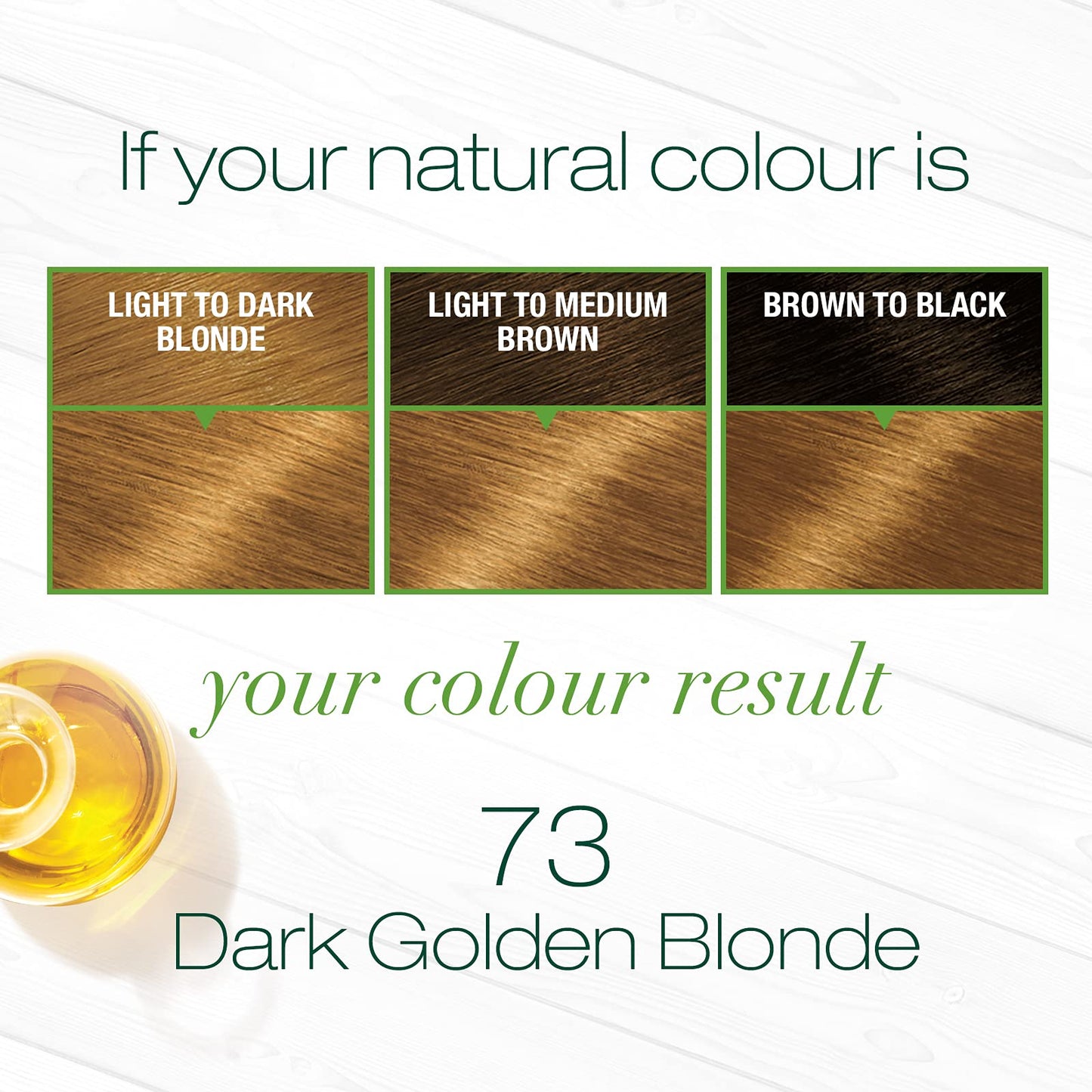 Garnier Nutrisse Haircolor - 73 Honeydip (Dark Golden Blonde) 1 Each