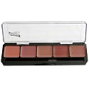 Lip Palettes (Cool Lip Palette)